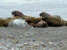 IMG_7635.jpeg