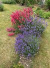 IMG_5866.jpeg