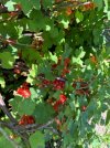 IMG_8071.jpeg