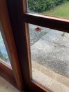 IMG_5909.jpeg