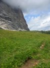 IMG_5939.jpeg