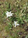 IMG_5956.jpeg