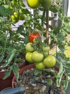 IMG_8148.jpeg