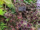 IMG_8178.jpeg