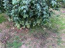 IMG_1772.jpeg
