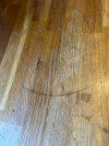 IMG_8325.jpeg