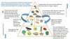 Graham's food pyramid.jpg