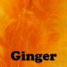 Ginger