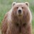 Big Bear