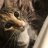 Donna_2022/19