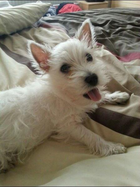 Billy